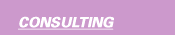 Consulting Services